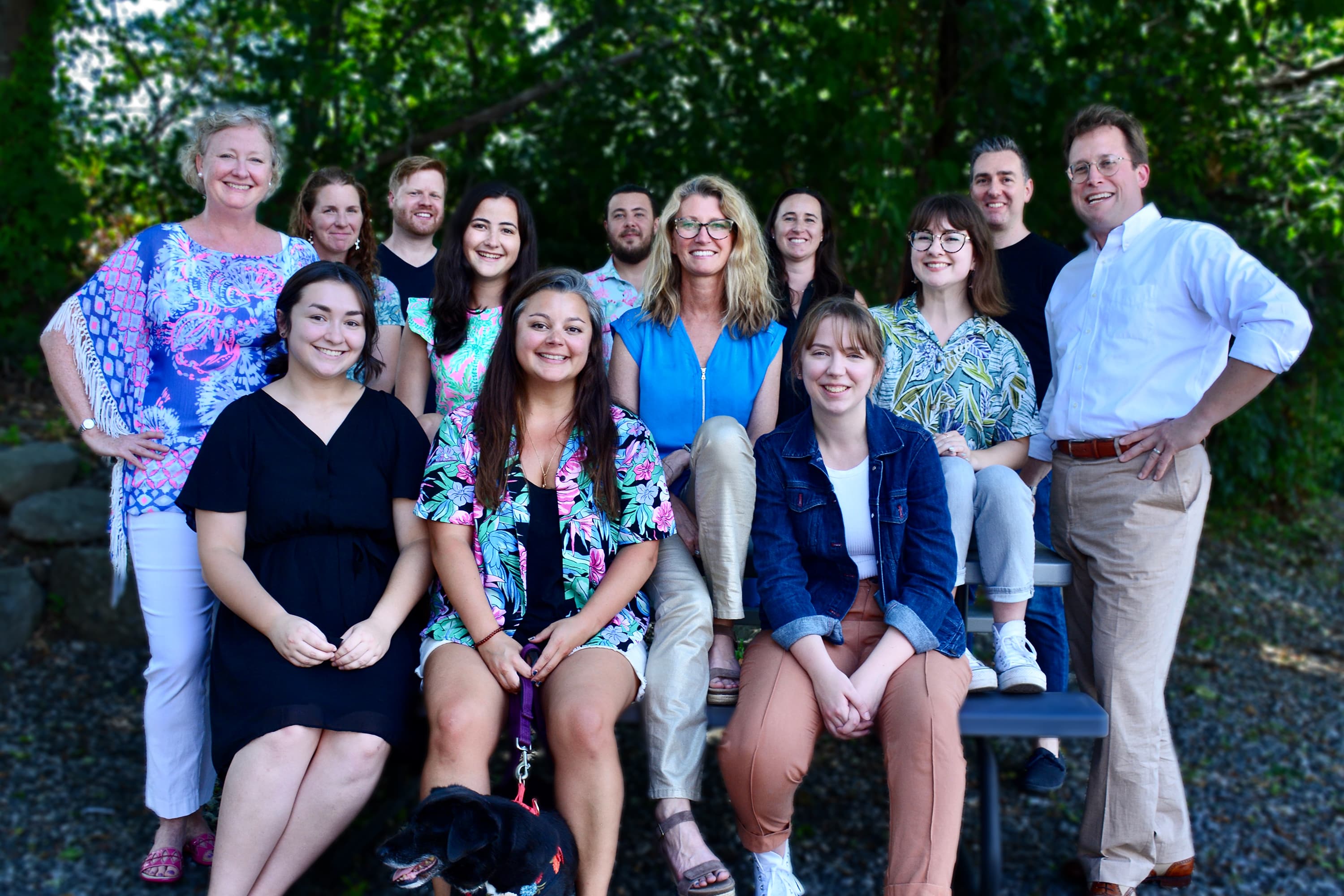The Braver team